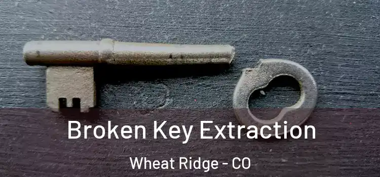  Broken Key Extraction Wheat Ridge - CO