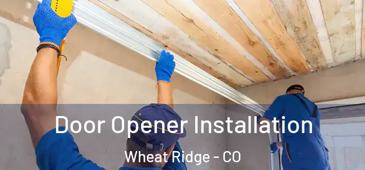 Door Opener Installation Wheat Ridge - CO