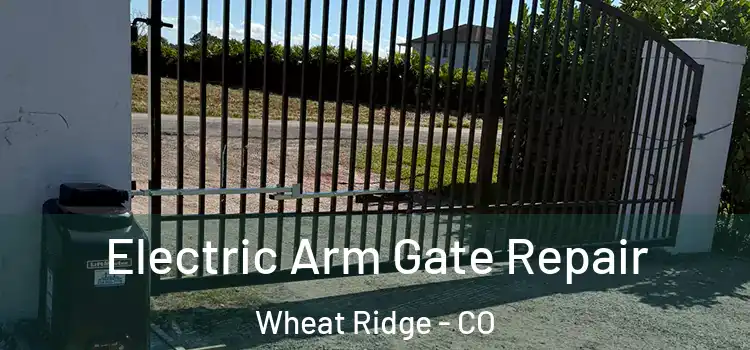 Electric Arm Gate Repair Wheat Ridge - CO