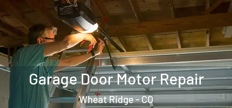  Garage Door Motor Repair Wheat Ridge - CO