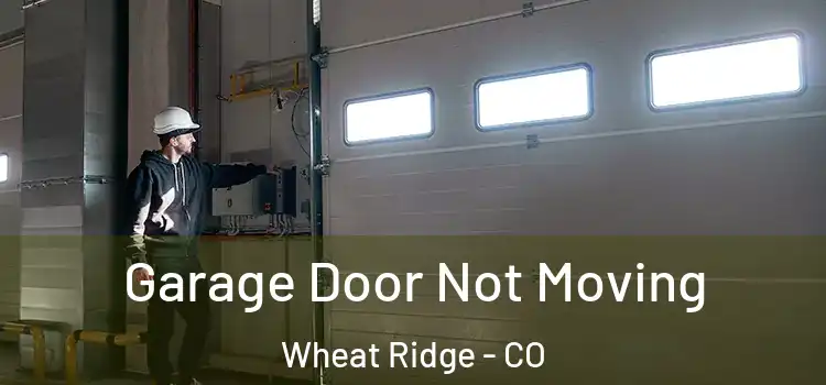  Garage Door Not Moving Wheat Ridge - CO