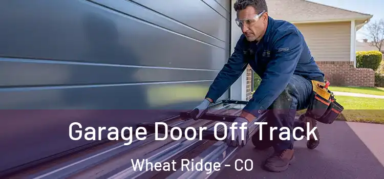  Garage Door Off Track Wheat Ridge - CO