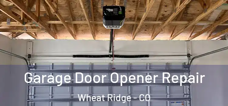 Garage Door Opener Repair Wheat Ridge - CO