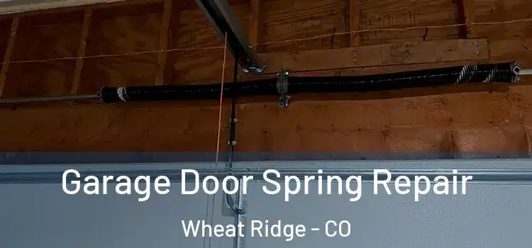  Garage Door Spring Repair Wheat Ridge - CO