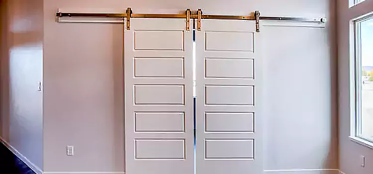 Glass Barn Door with Installation Hardware Kit Wheat Ridge