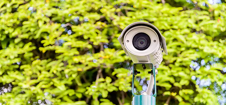 Advanced Surveillance Solutions for Every Need in Wheat Ridge