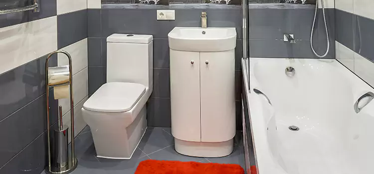 Hansgrohe Shaving Mirror Wheat Ridge