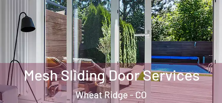 Mesh Sliding Door Services Wheat Ridge - CO