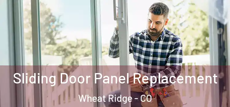  Sliding Door Panel Replacement Wheat Ridge - CO